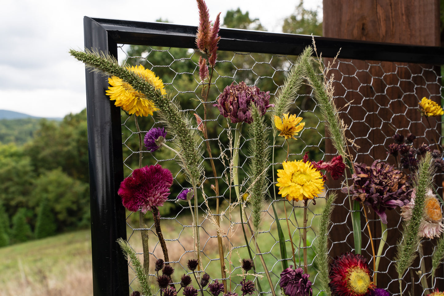 Everlasting Flower Panel- Autumn Meadow