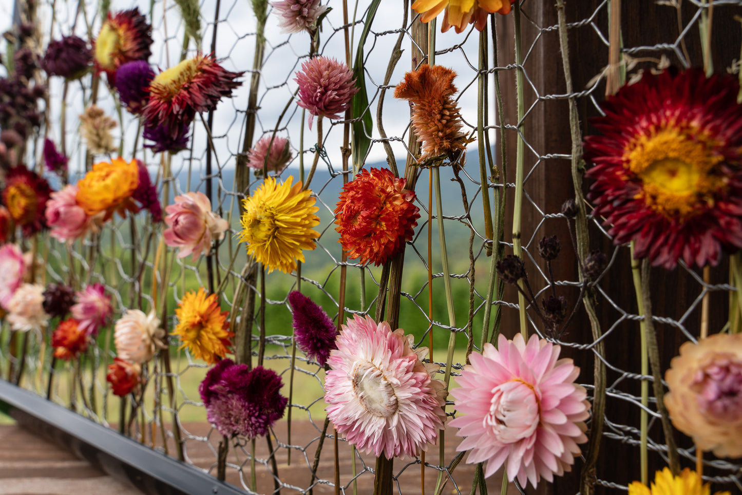 Everlasting Flower Panel- Autumn Meadow