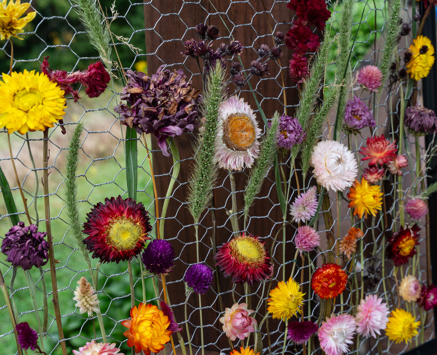 Everlasting Flower Panel- Autumn Meadow